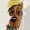 kevin_ditzler